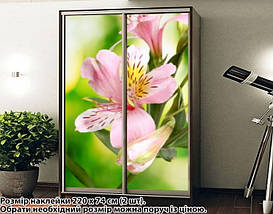 Наклейка на шафу-купе 220 х 60 см на 2 двері Лілія (БП_а_fl103000), фото 4