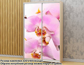 Наклейка на шафу-купе 220 х 60 см на 2 двері Орхідеї (БП_а_fl11668), фото 3
