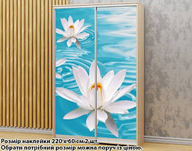 Наклейка на шафу-купе 220 х 74 см на 2 двері Лілії білі (БП_а_fl13680), фото 3