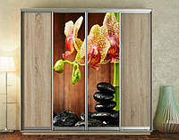 Наклейка на шкаф-купе 220 х 60 см на 2 двери орхидеи (БП_а_fl101003)