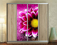 Наклейка на шкаф-купе 220 х 60 см на 2 двери цветок (БП_а_fl102553)