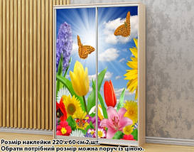 Наклейка на шафу-купе 220 х 74 см на 2 двері квіти (БП_а_fl102556), фото 2