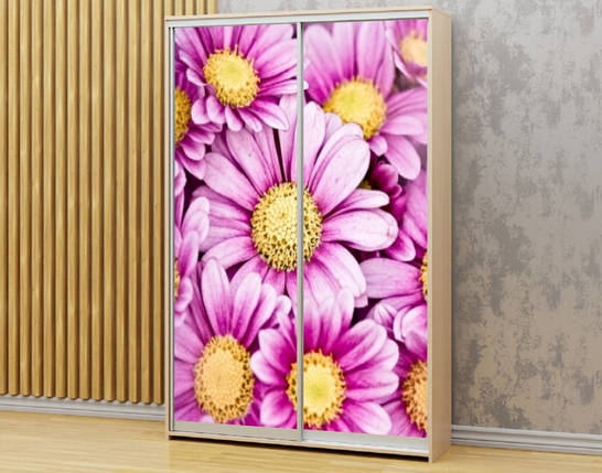 Наклейка на шафу-купе 220 х 60 см на 2 двері  Ромашки (БП_а_fl102597), фото 1