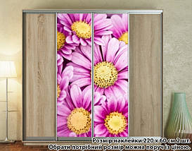 Наклейка на шафу-купе 220 х 60 см на 2 двері  Ромашки (БП_а_fl102597), фото 2
