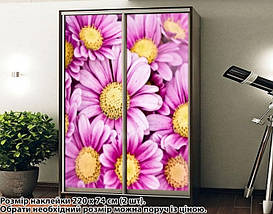 Наклейка на шафу-купе 220 х 60 см на 2 двері  Ромашки (БП_а_fl102597), фото 4
