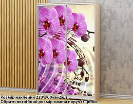 Наклейка на шафу-купе 220 х 102 см на 2 двері Орхідеї (БП_а_fl102995), фото 4