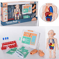 Игровой медицинский набор "Анатомия человека" арт. H 326 A топ