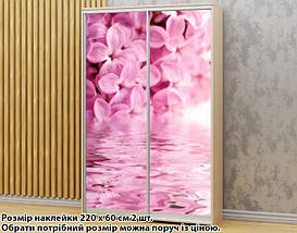 Наклейка на шафу-купе 220 х 74 см на 2 двері бузок (БП_а_fl12799), фото 3