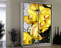 Наклейка на шкаф-купе 220 х 74 см на 2 двери желтые орхидеи (БП_а_fl13221)