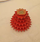 Блок зірочок механізму передач СУПН-8 elvorti, фото 2