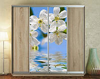 Наклейка на шкаф-купе 220 х 60 см на 2 двери цветы вишни (БП_а_fl13566)