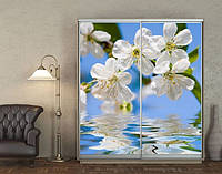 Наклейка на шкаф-купе 220 х 102 см на 2 двери цветы вишни (БП_а_fl13566)