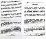 Духом святым окрыленный Преподобноисповедник и чудотворец Гавриил (Ургебадзе), фото 3