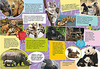 Школа чомучки. Дивовижні тварини. 60 розвивальних наліпок, фото 3
