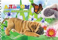 Альбом для малювання А4 40 арк спіраль 100 г/м2 Асорті уні, фото 7