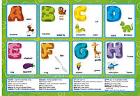 Перші розвивальні наліпки. English ABC. 65 наліпок, фото 2