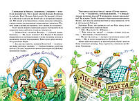 Книга Дивовижні пригоди в лісовій школі Сонце серед ночі Пригоди в Павутинії В. Нестайко, фото 2