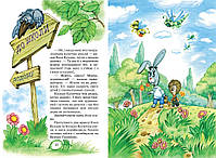 Книга Дивовижні пригоди в лісовій школі Сонце серед ночі Пригоди в Павутинії В. Нестайко, фото 3