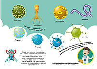 Перші розвивальні наліпки. Віруси. 42 наліпки, фото 2