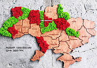 Карта Украины на стену из фанеры и мха