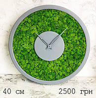Часы настенные из мхом диаметр 40 см