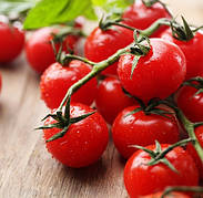 Насіння томатів