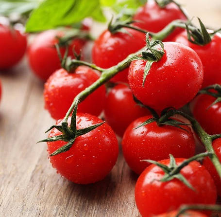 Насіння томатів