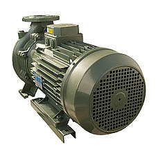 Насос моноблоковий IR 50-200A 15 кВт SAER (75 м3/год, 61.8 м), фото 5