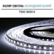 LED стрічка Biom Professional SMD2835 120шт/м 13.5W/m IP20 24V (7500-8000К) BPS-G3-24-2835-120-СW-20 21038, фото 2