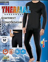 ТЕРМОБІЛИЗНА