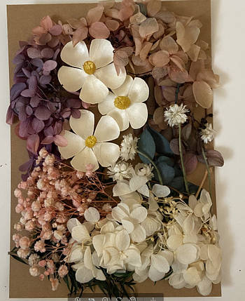 Набір сухих квітів для декору сухоцвіти ВЕЛИКИЙ (6), фото 2