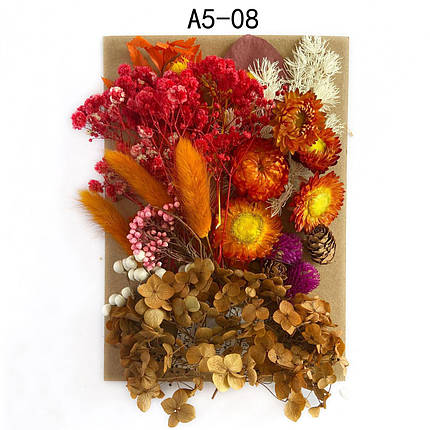 Набір сухих квітів для декору сухоцвіти ВЕЛИКИЙ (2), фото 2