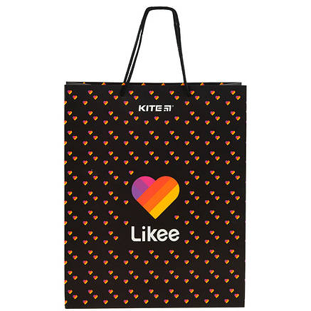 Пакет паперовий подарунковий, 26х32см, LK, фото 2