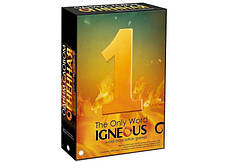 Настільна игра Одним словом Вогняна (The Only Word Igneous) російською, фото 2