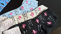Носки женские, фламинго. р23-25