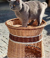 Будинок для кішки з лежаком плетені з лози