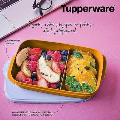 Контейнер із розділювачем Tupperware (Оригинал) Тапервер