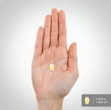 Вітамін Д3 Piping Rock Vitamin D3 125 мкг (5000 IU) 250 гелевих капсул, фото 2