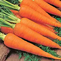 Красная Боярыня семена моркови Satimex 10 г