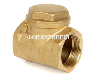 Клапан зворотній вакуумної устаноки GPV 2200