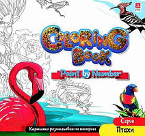 Розмальовка за номерами Птахи 24*23см 12стор. Укр (Аркуш)