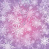 Комплект книг серії «Сніжинки», фото 7