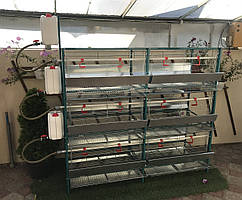 Універсальна розбірна клітка для утримання курей-несучок або бройлера до 45 гол