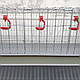 Клітка для утримання перепілок 30 гол, фото 6