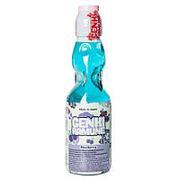 Напиток Genki Ramune Черника 200 г.