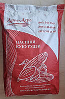 Насіння кукурудзи Андрес ФАО 350 врожайність 130ц/га. Гібрид кукурудзи АНДРЕС стійкий до спеки, волога 15-16%
