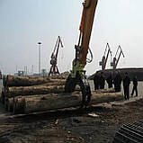 Захват для екскаватора Ray Attachments RHG, фото 2