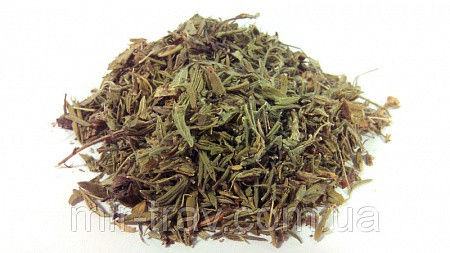 Курильський чай (лапчатка чагарникова)