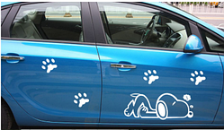 Автомобільна наклейка AIWA 02854