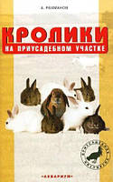 Книга Кролики на приусадебном участке